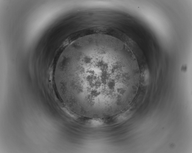 X0000092300765200709141319