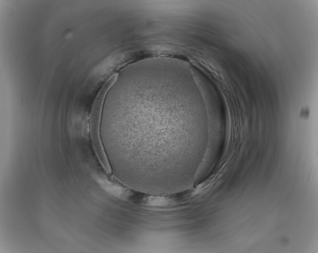X0000092300766200709141319