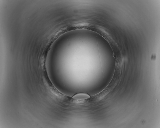 X0000092300767200709141319