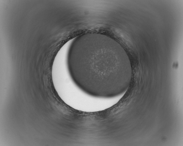 X0000092300769200709141319