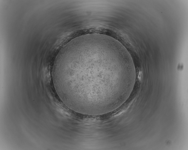X0000092300771200709141319