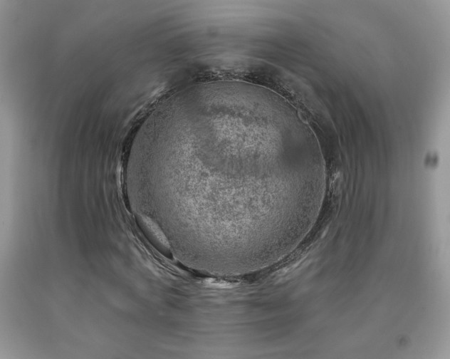 X0000092300772200709141319