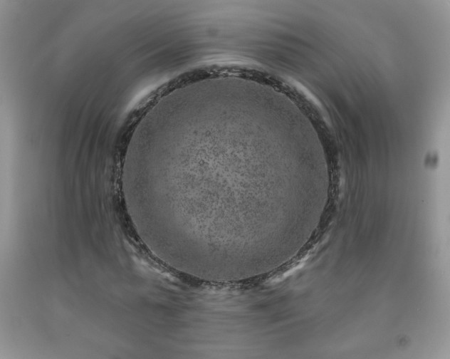 X0000092300775200709141319
