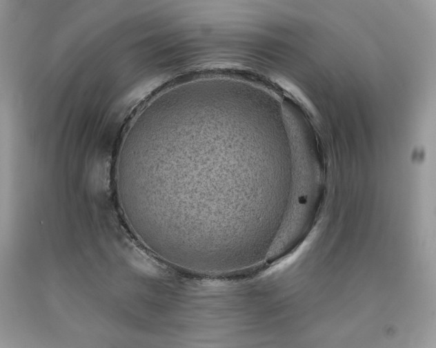 X0000092300777200709141319