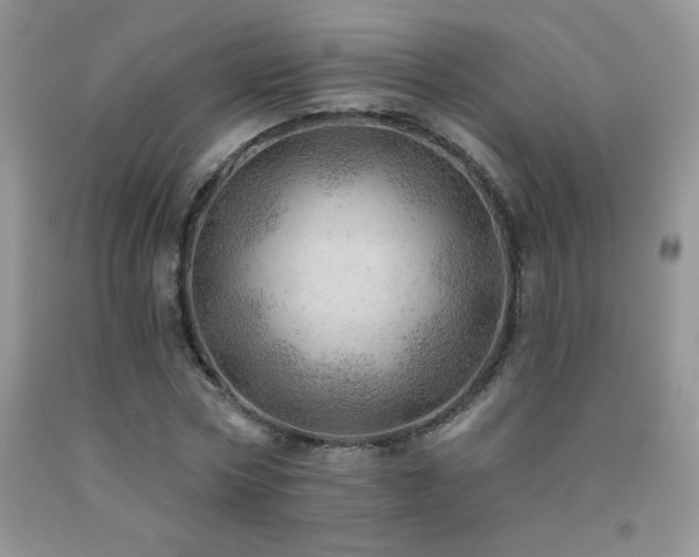 X0000092300778200709141319