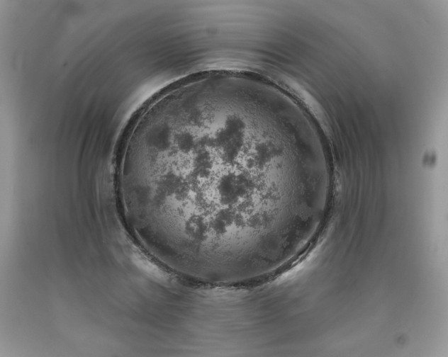 X0000092300779200709141319