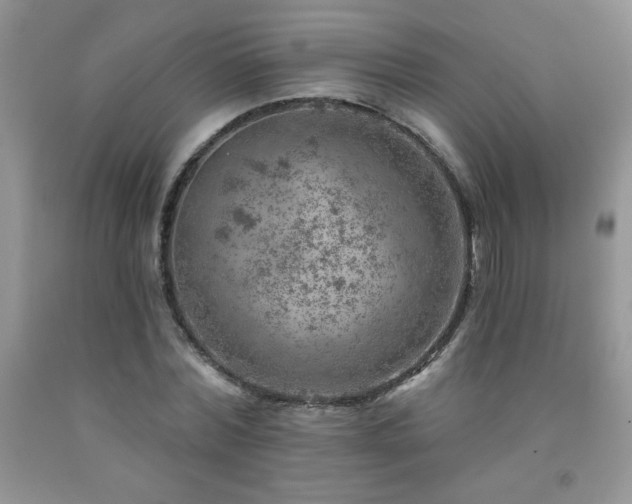 X0000092300780200709141319