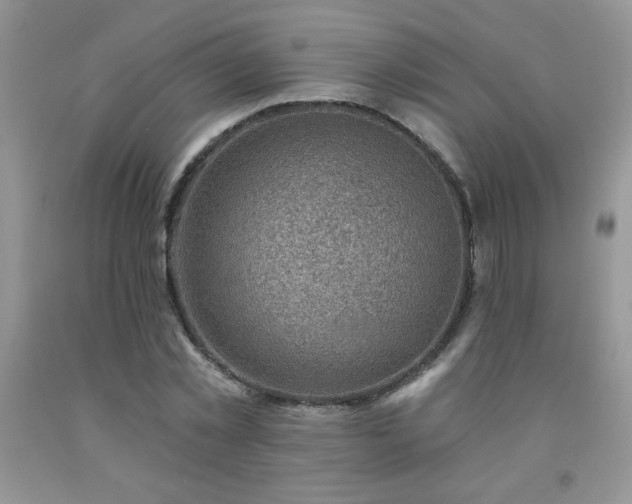 X0000092300781200709141319