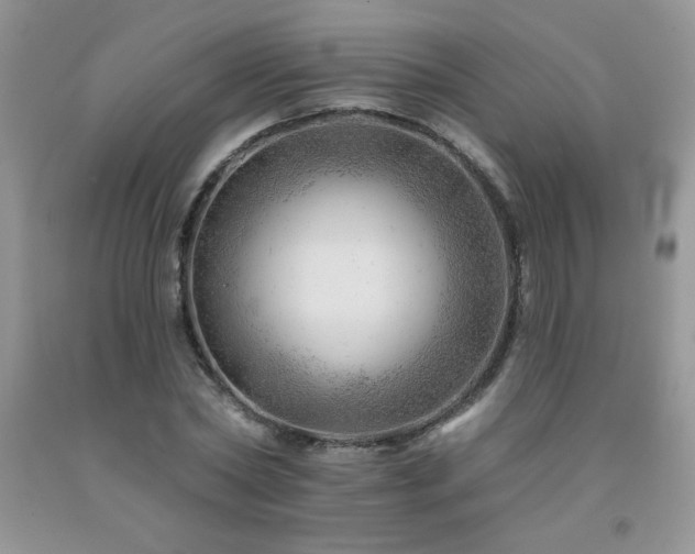 X0000092300782200709141319