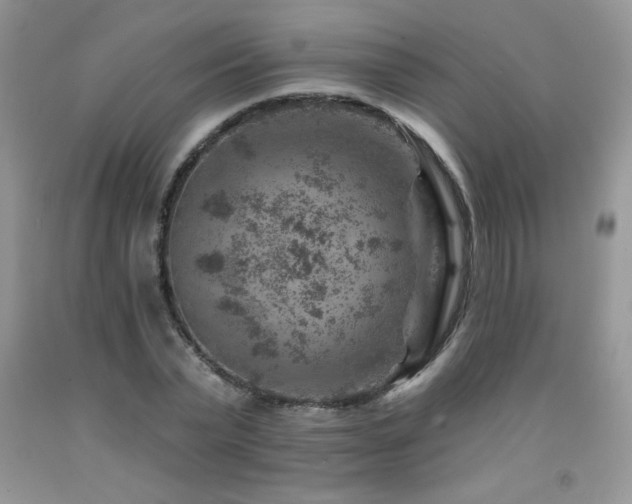 X0000092300783200709141319