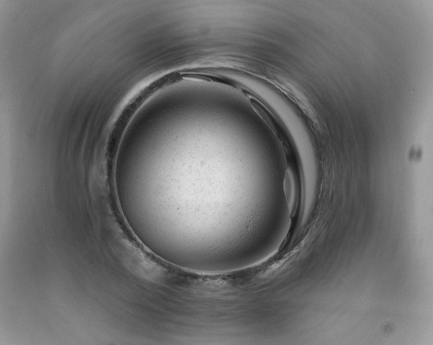 X0000092300784200709141319