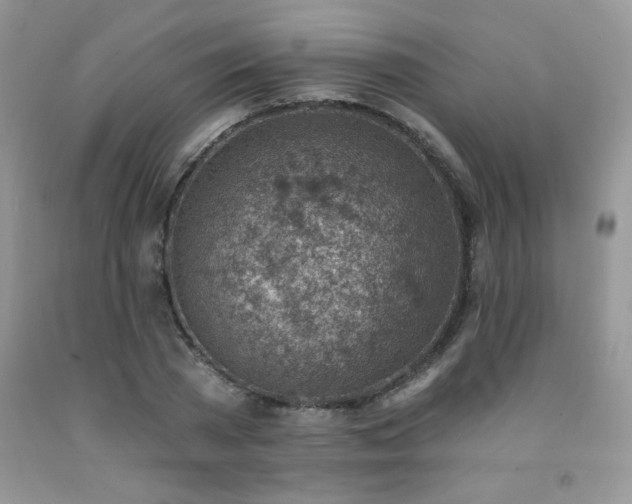 X0000092300785200709141319