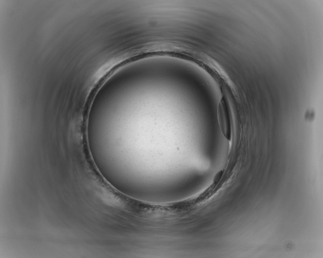 X0000092300786200709141319