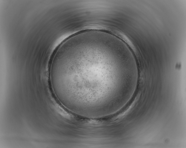 X0000092300787200709141319