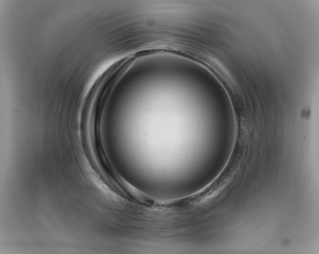 X0000092300788200709141318