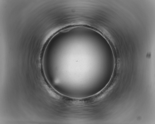 X0000092300789200709141318