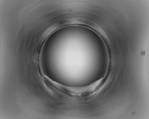 X0000092300793200709141318