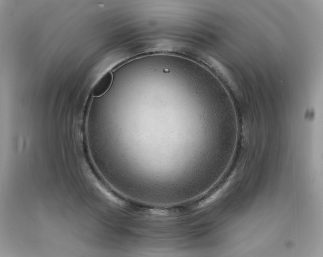 X0000092300794200709141318