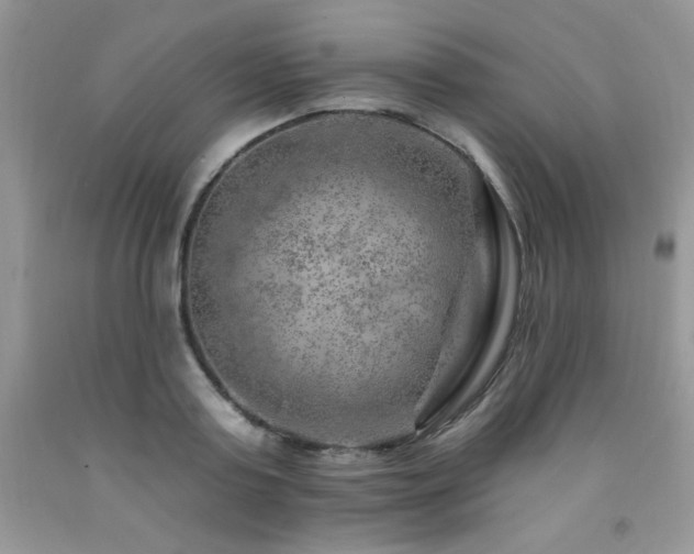 X0000092300795200709141318
