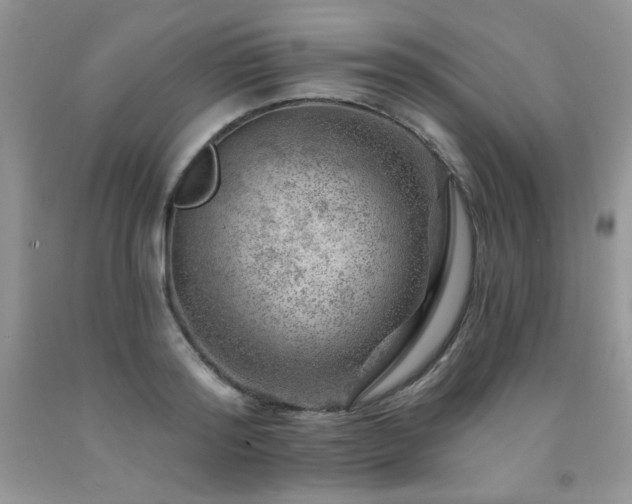 X0000092300796200709141318