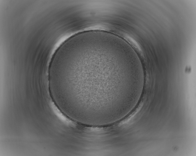 X0000092300800200709141318