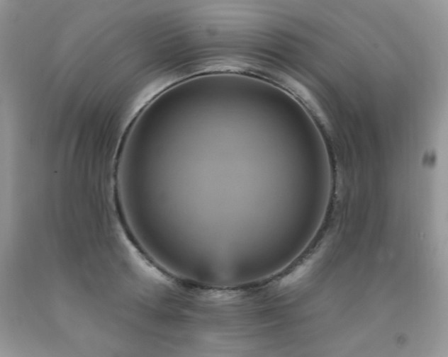 X0000092300802200709141318