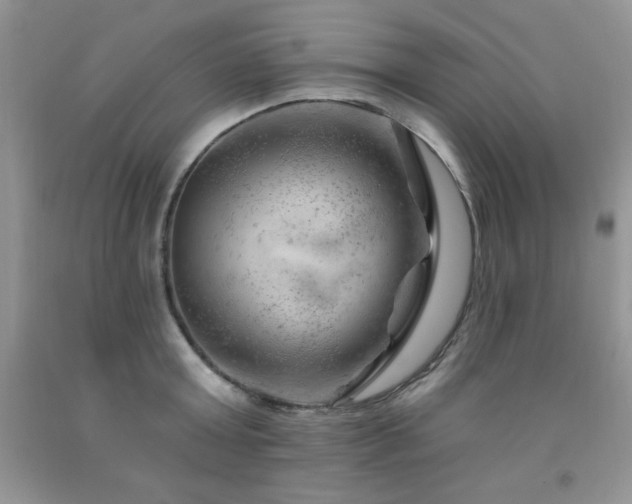 X0000092300803200709141318