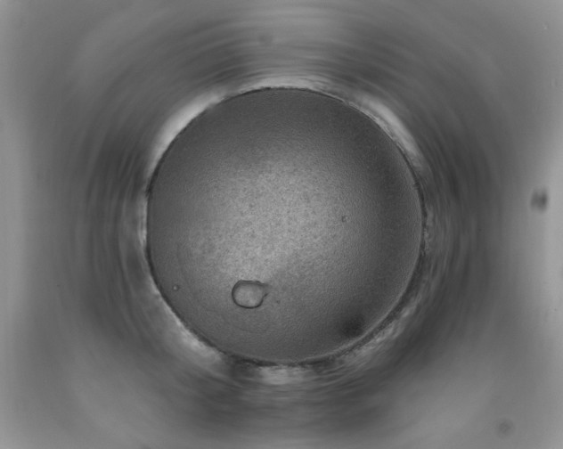 X0000092300804200709141318
