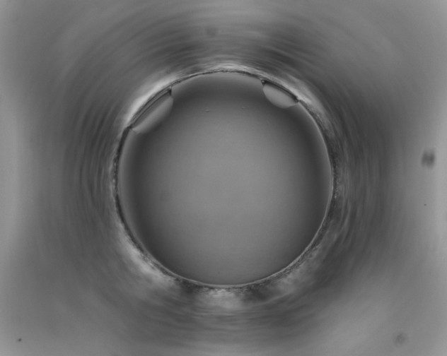 X0000092300806200709141318