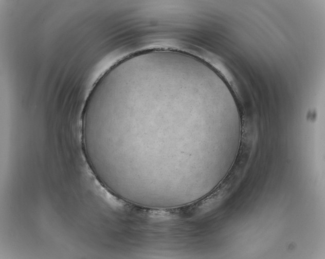 X0000092300807200709141318