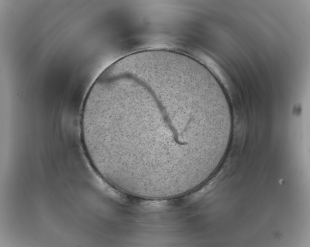 X0000092300810200709141318