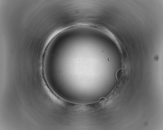 X0000092300811200709141318