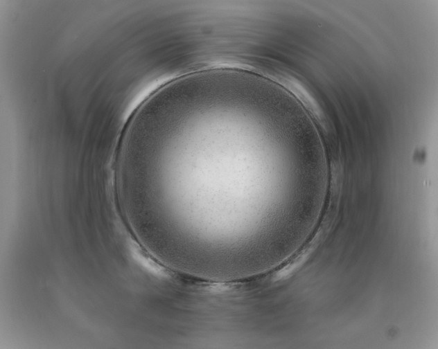 X0000092300814200709141318