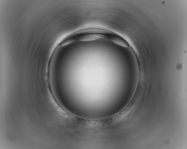 X0000092300815200709141318