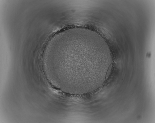 X0000092300817200709141318