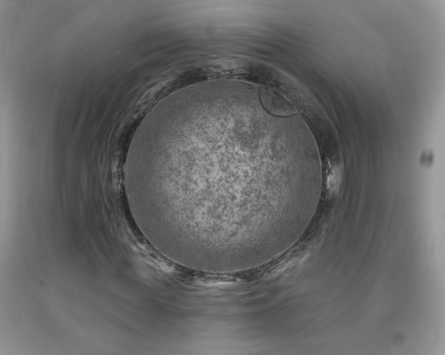 X0000092300819200709141318