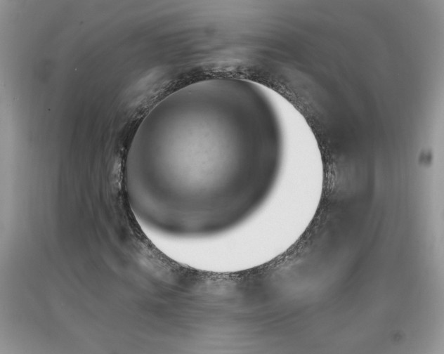 X0000092300820200709141318