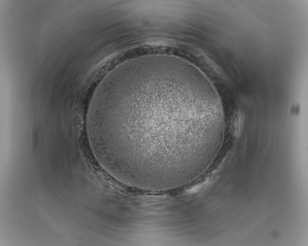 X0000092300821200709141318