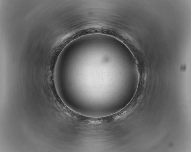 X0000092300822200709141318