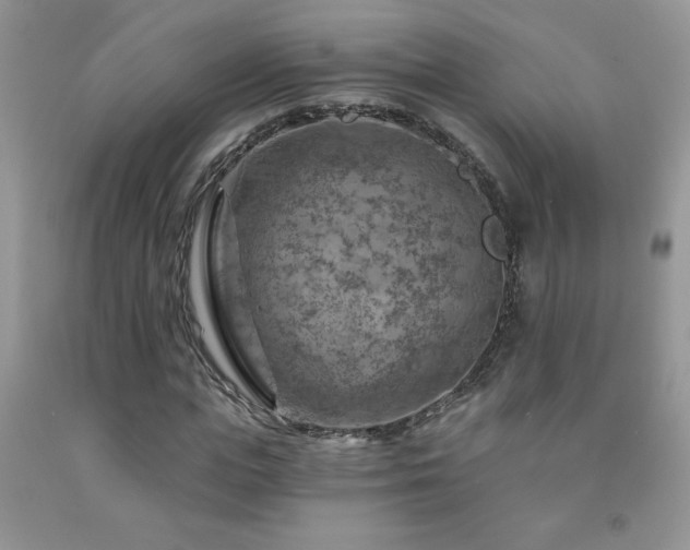 X0000092300823200709141318