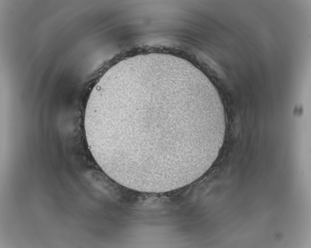 X0000092300824200709141318