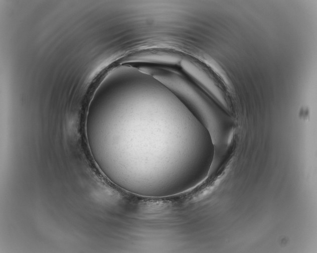 X0000092300826200709141318