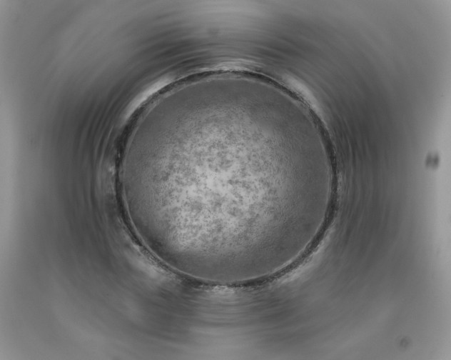 X0000092300827200709141318