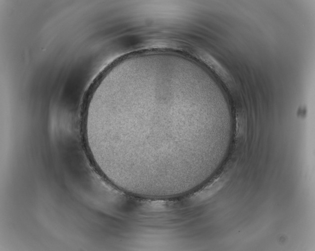 X0000092300828200709141318