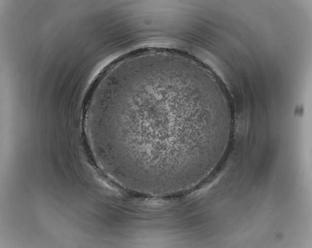 X0000092300829200709141318