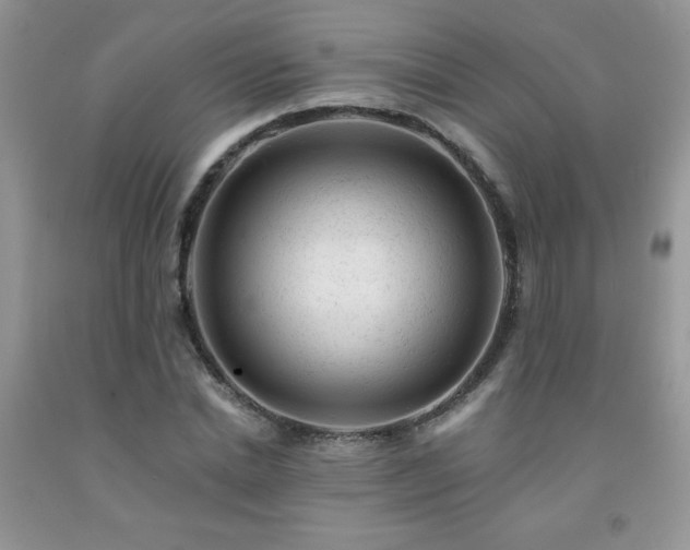 X0000092300830200709141318