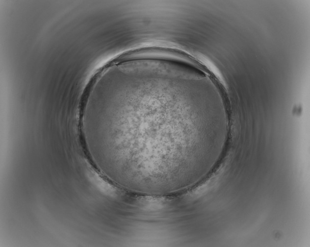 X0000092300831200709141318