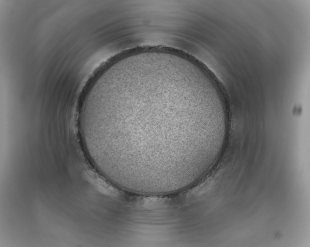 X0000092300832200709141318