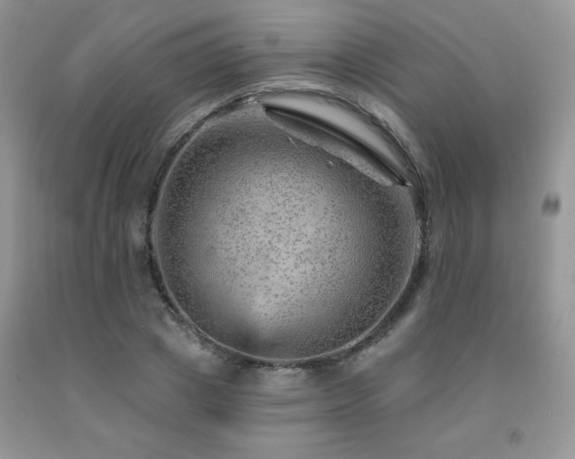 X0000092300833200709141318