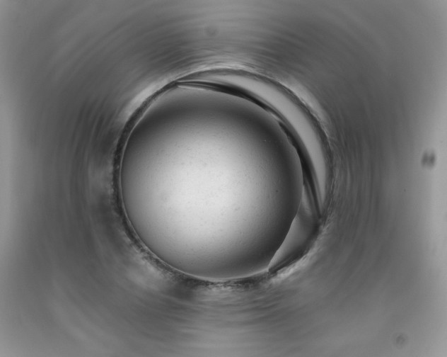X0000092300834200709141318
